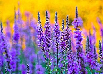 好评黑色卡牌游戏《邪恶冥刻》今日登陆Xbox平台