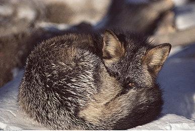 《猎杀：对决》新地图“DeSalle”今日上线PC测试服 于暑期正式上线